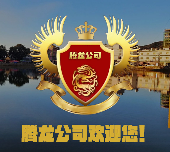 腾龙公司酒店大堂